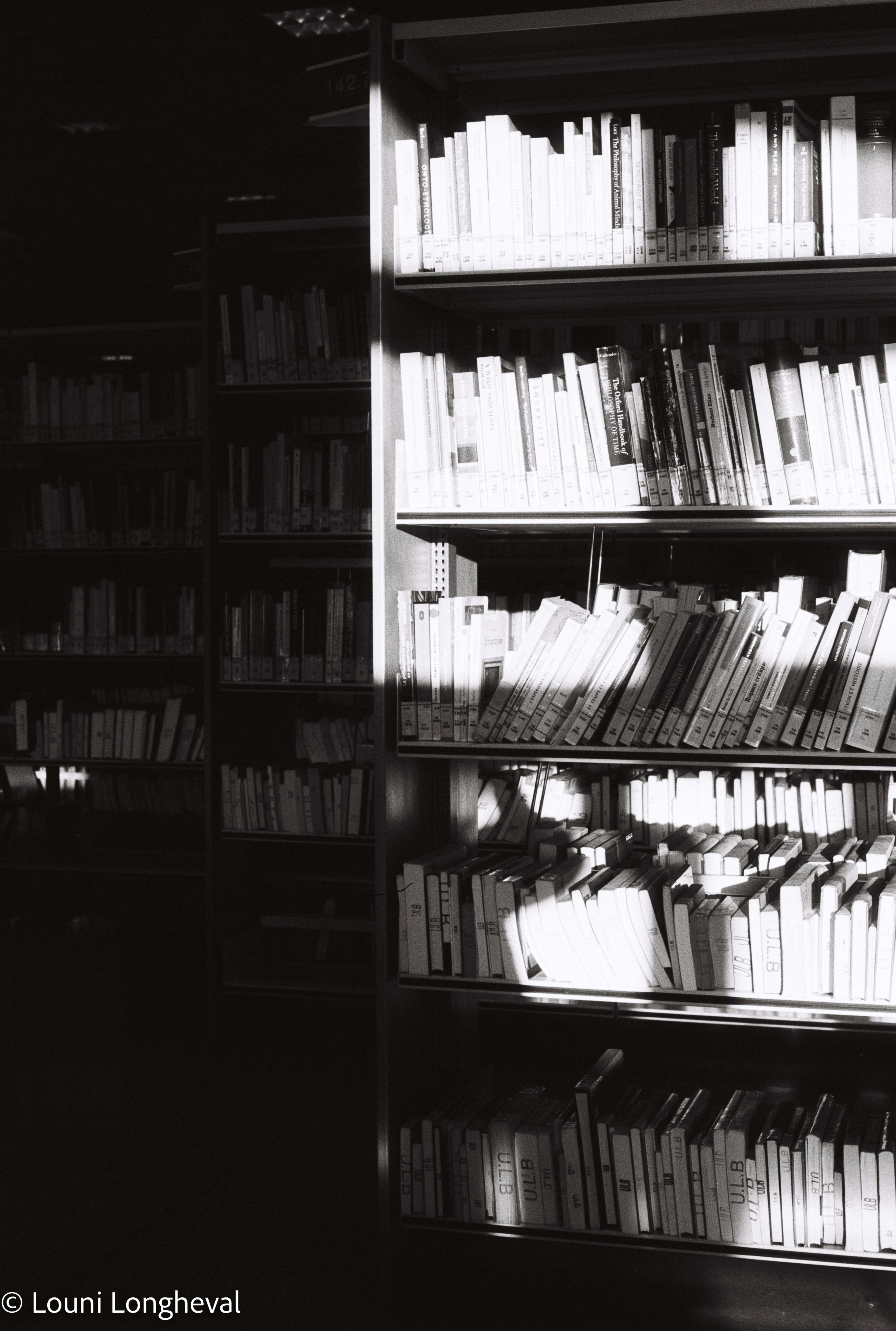 Louni's photo