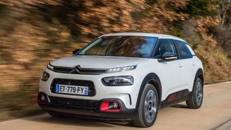 C4 Cactus