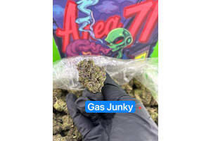 Gas Junky