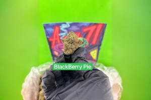 Blackberry Pie