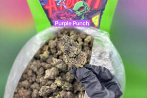Purple Punch