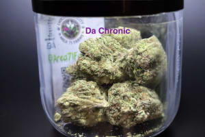 DA Chronic