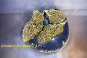 Double Barrel