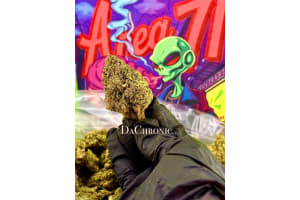 DA Chronic