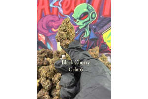 Black Cherry Gelato