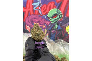 Jungle Fever