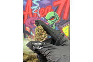 Permanet Makers