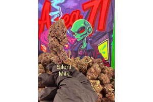 Slient Milk