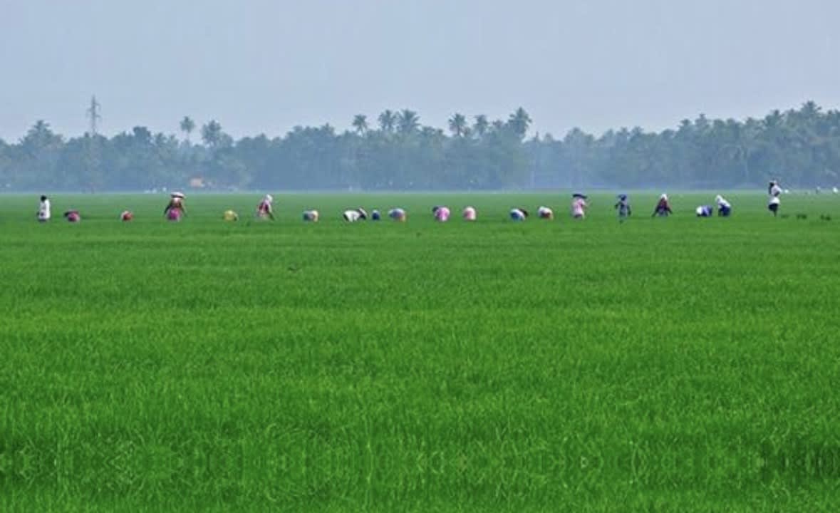 കാർഷിക നയം കാലാനുസൃതമായി പരിഷ്കരിക്കുന്നത് പരിഗണനയിൽ: കൃഷിമന്ത്രി ടി. സിദ്ദിഖ്