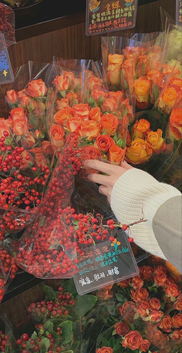 Khi kim chủ mất trí nhớ