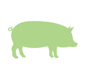 Porci