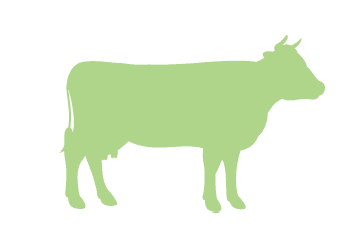 Rumegatoare premix taurasi , premix vitei