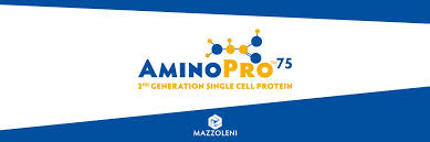 images_1_jjsozo concentrat proteic