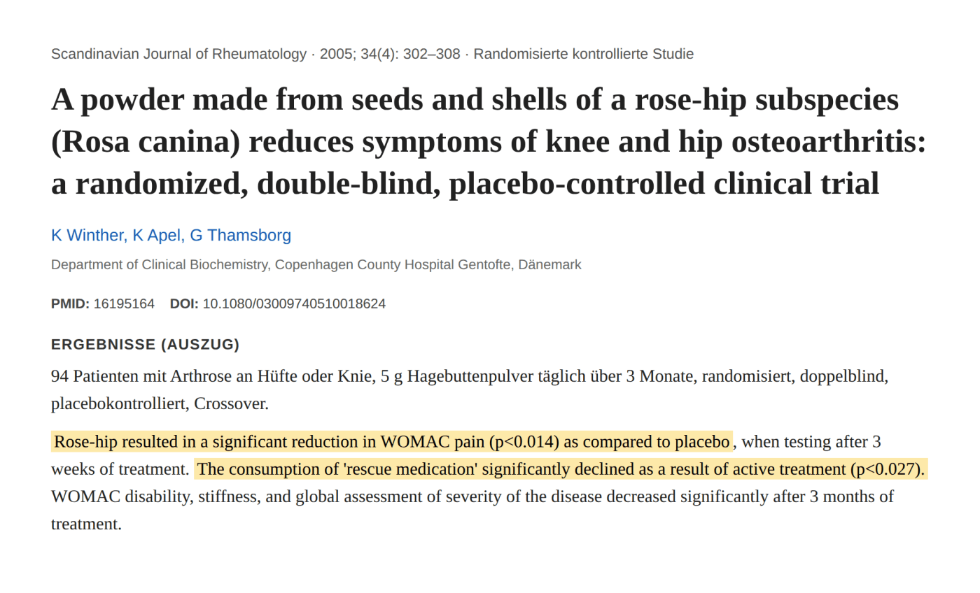 Auszug aus der Studie von Winther et al. zu Hagebuttenpulver bei Knie- und Hüftarthrose
