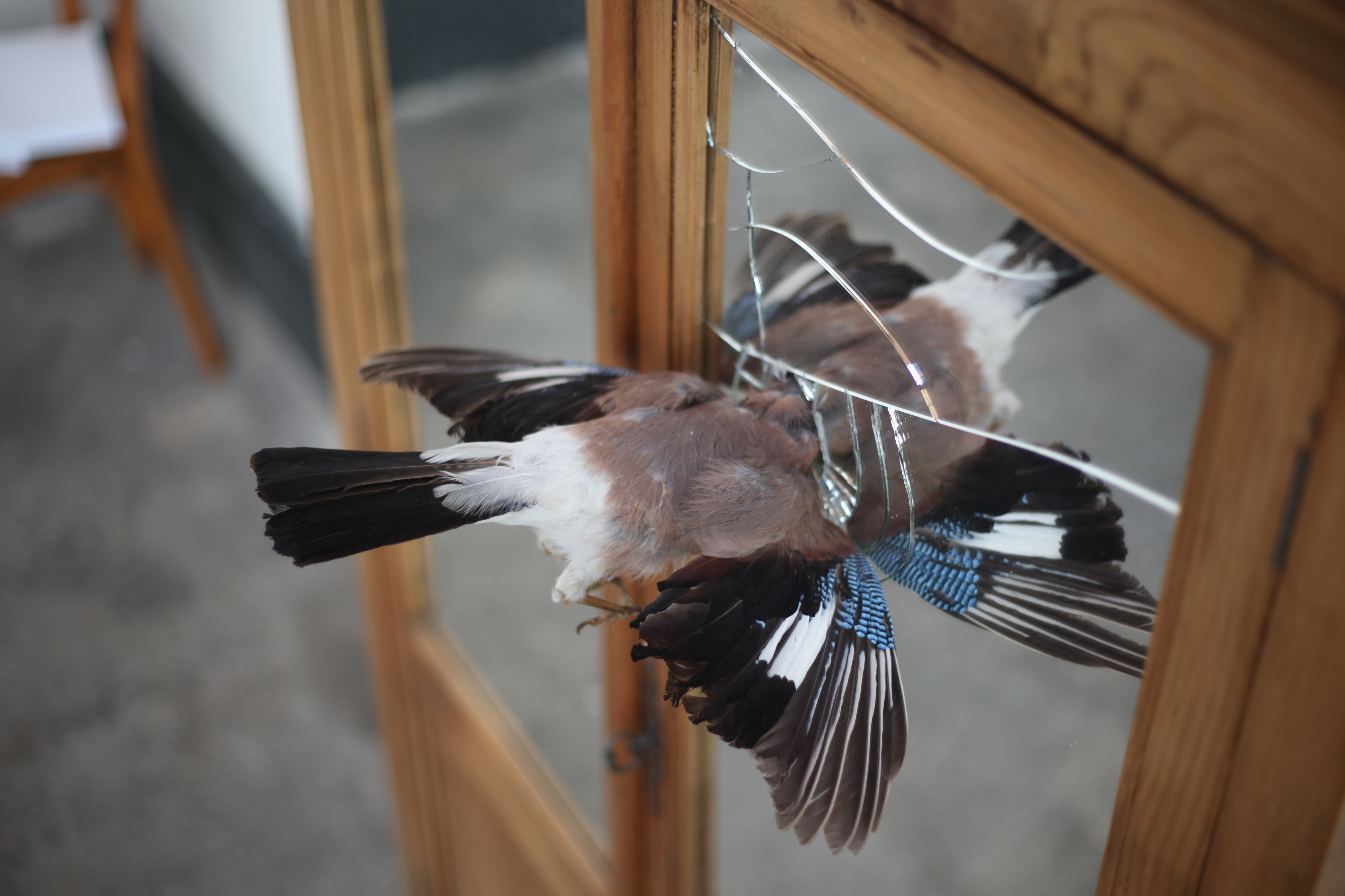 Visuel de gilles desplanques