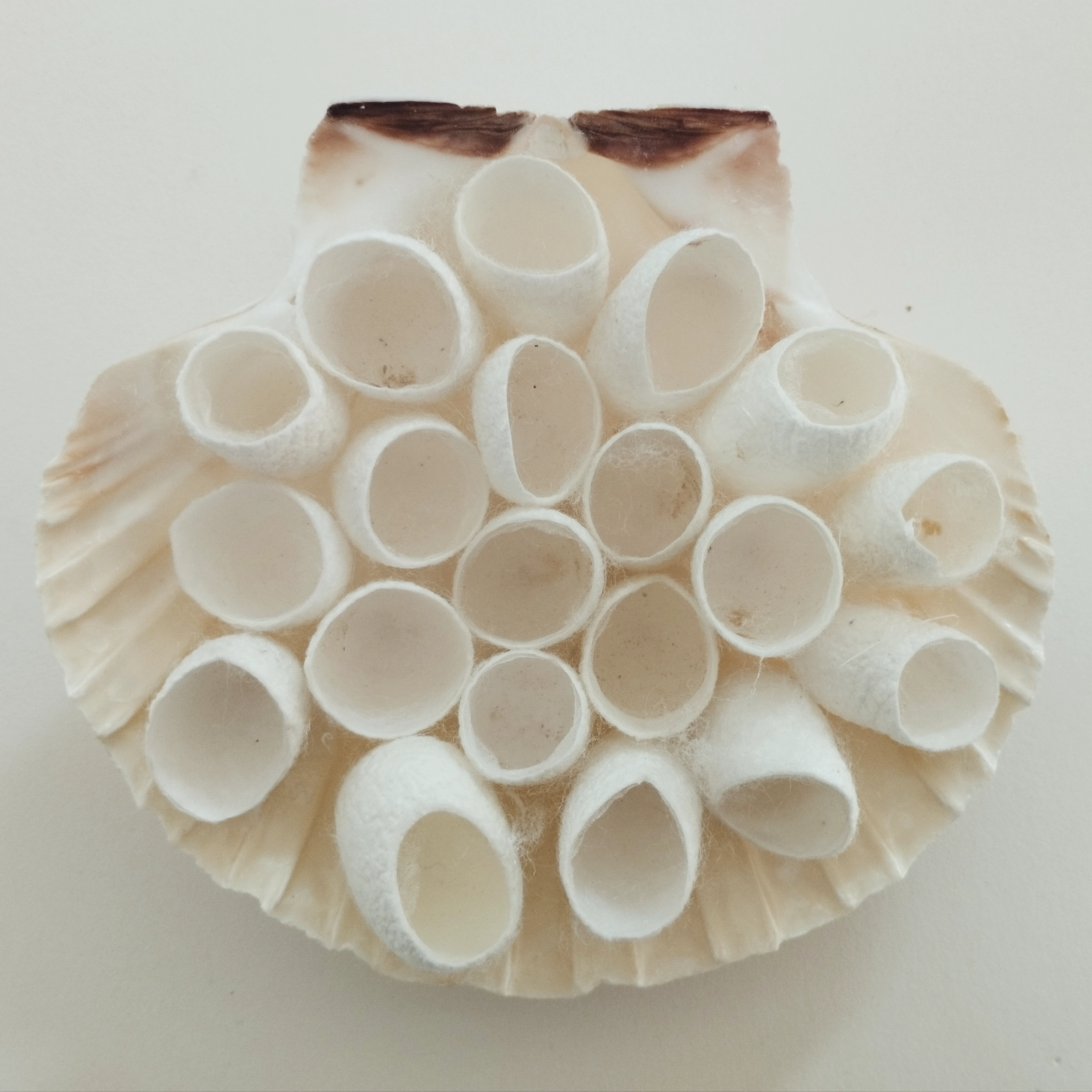 Visuel de Dany Cerrato