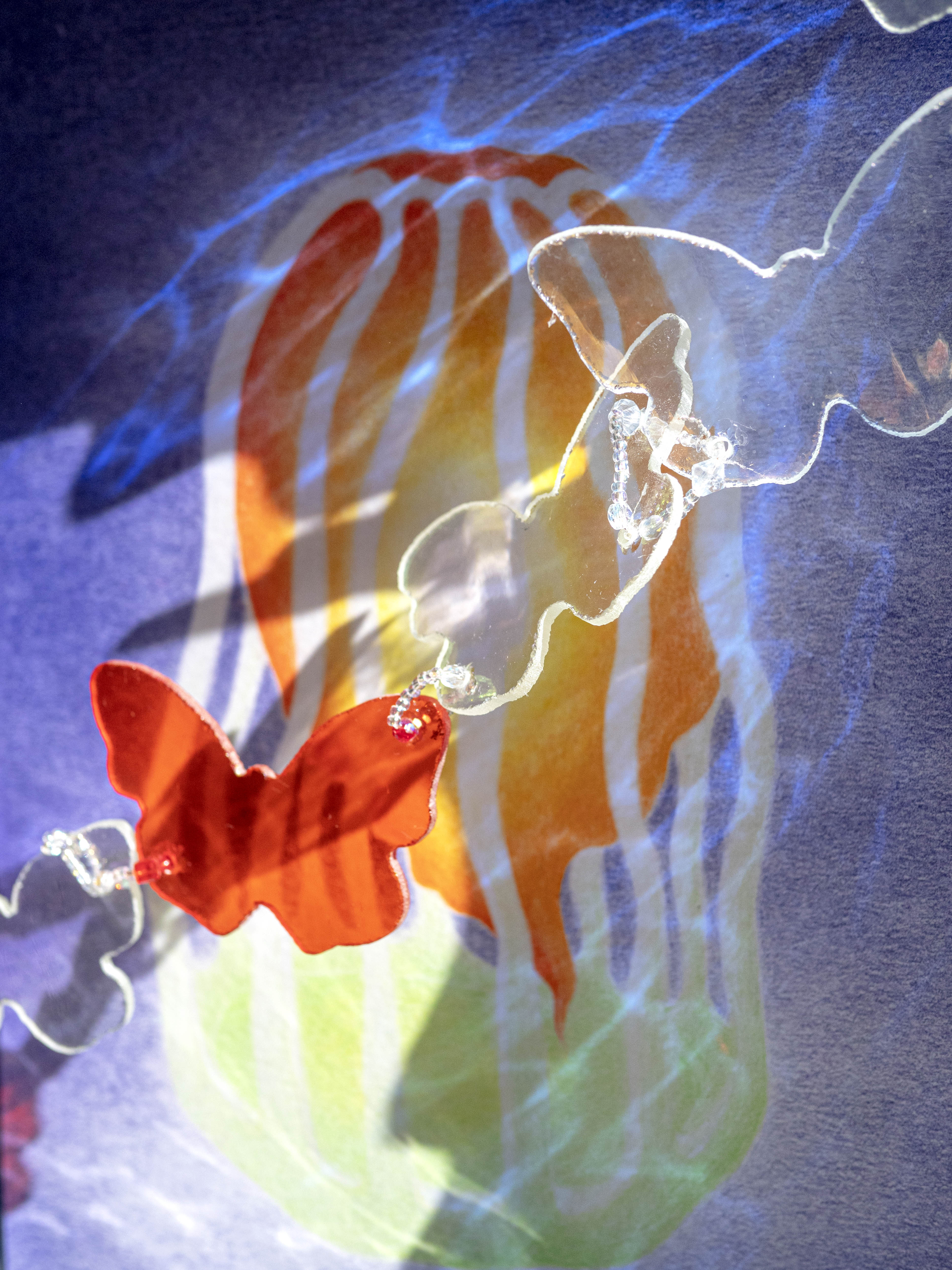 Visuel de Claire Olivier