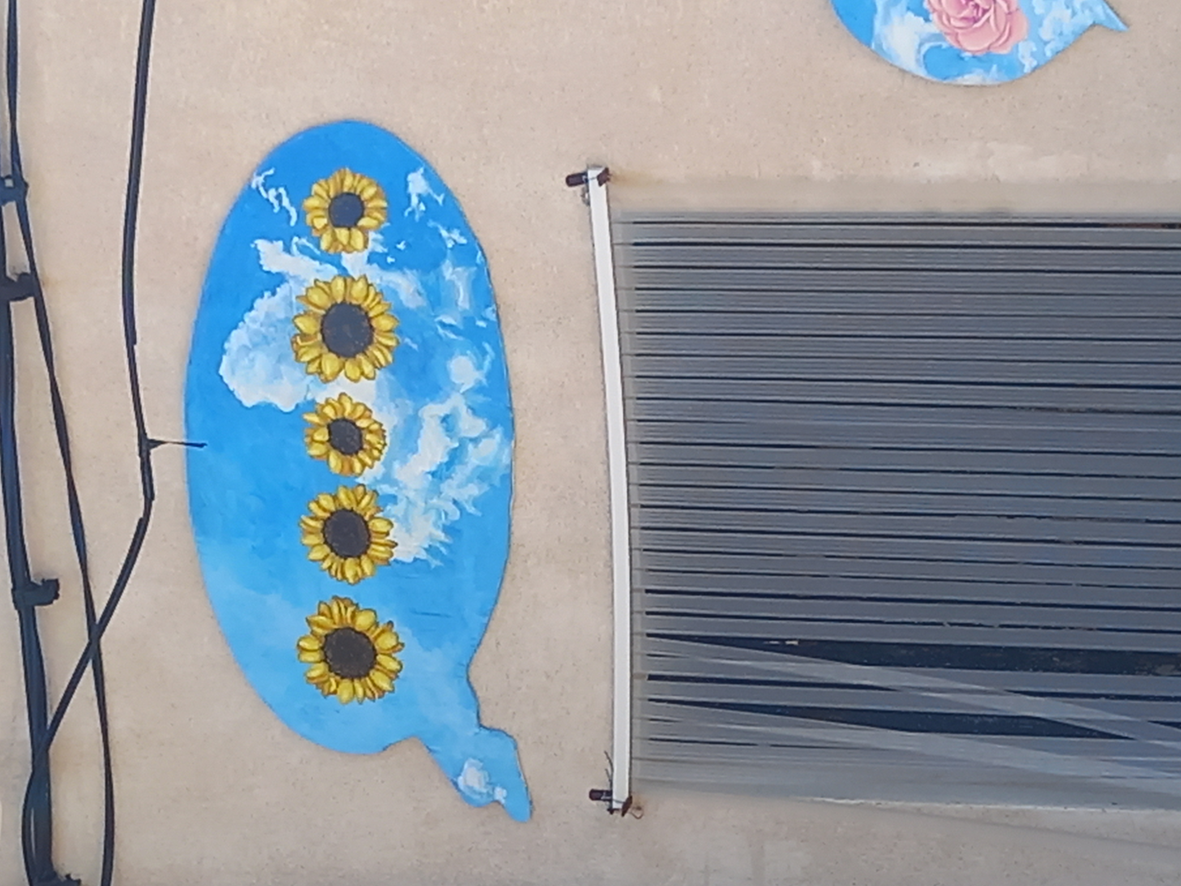 Visuel de Turc de Venosc