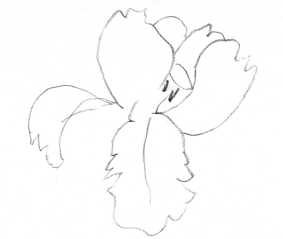 Visuel de Mathieu Provansal