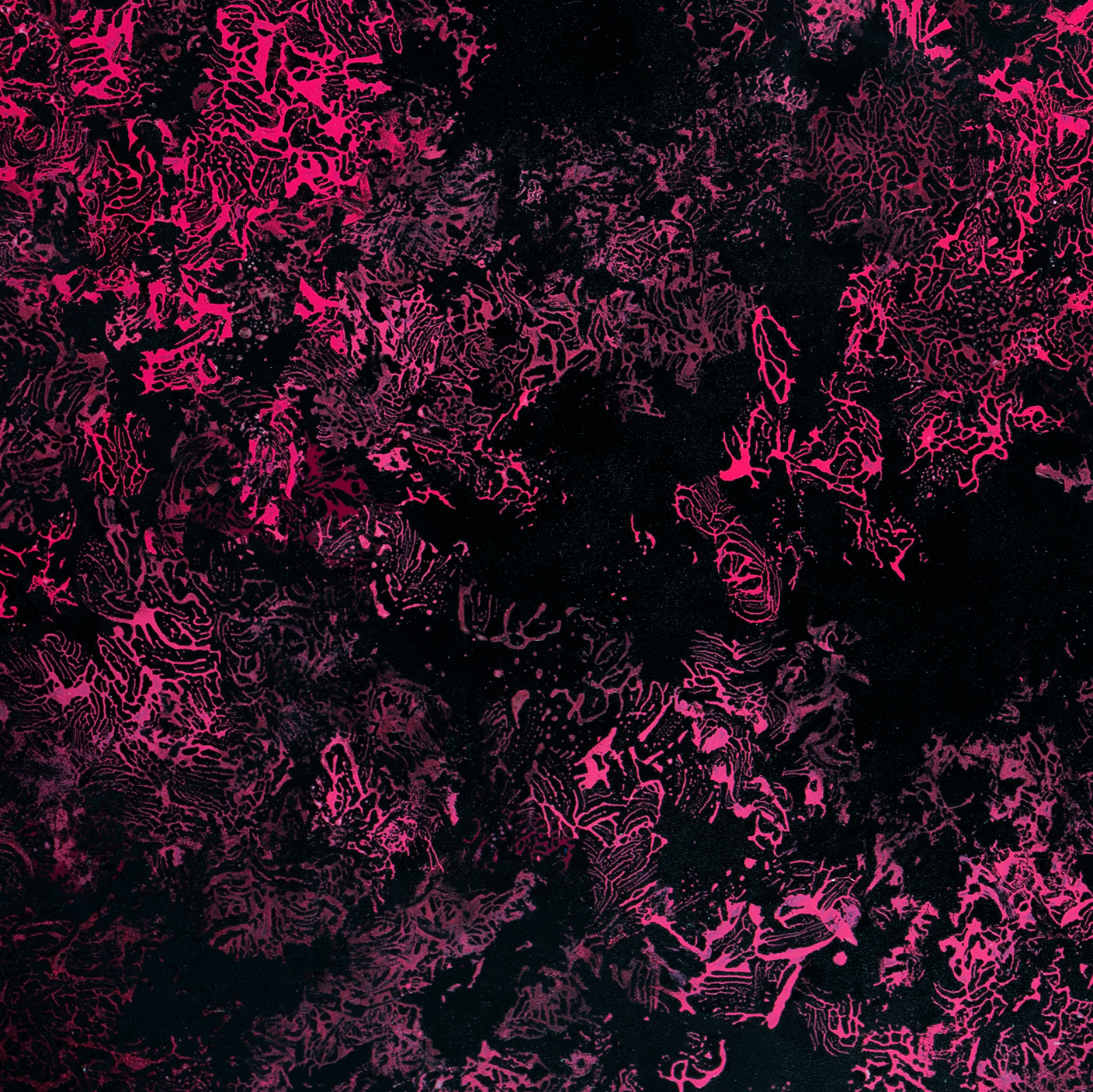 Visuel de Jonathan Lane