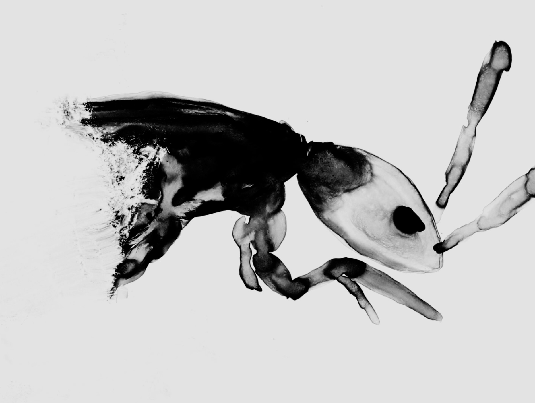 Visuel de Guillaume Mariotti