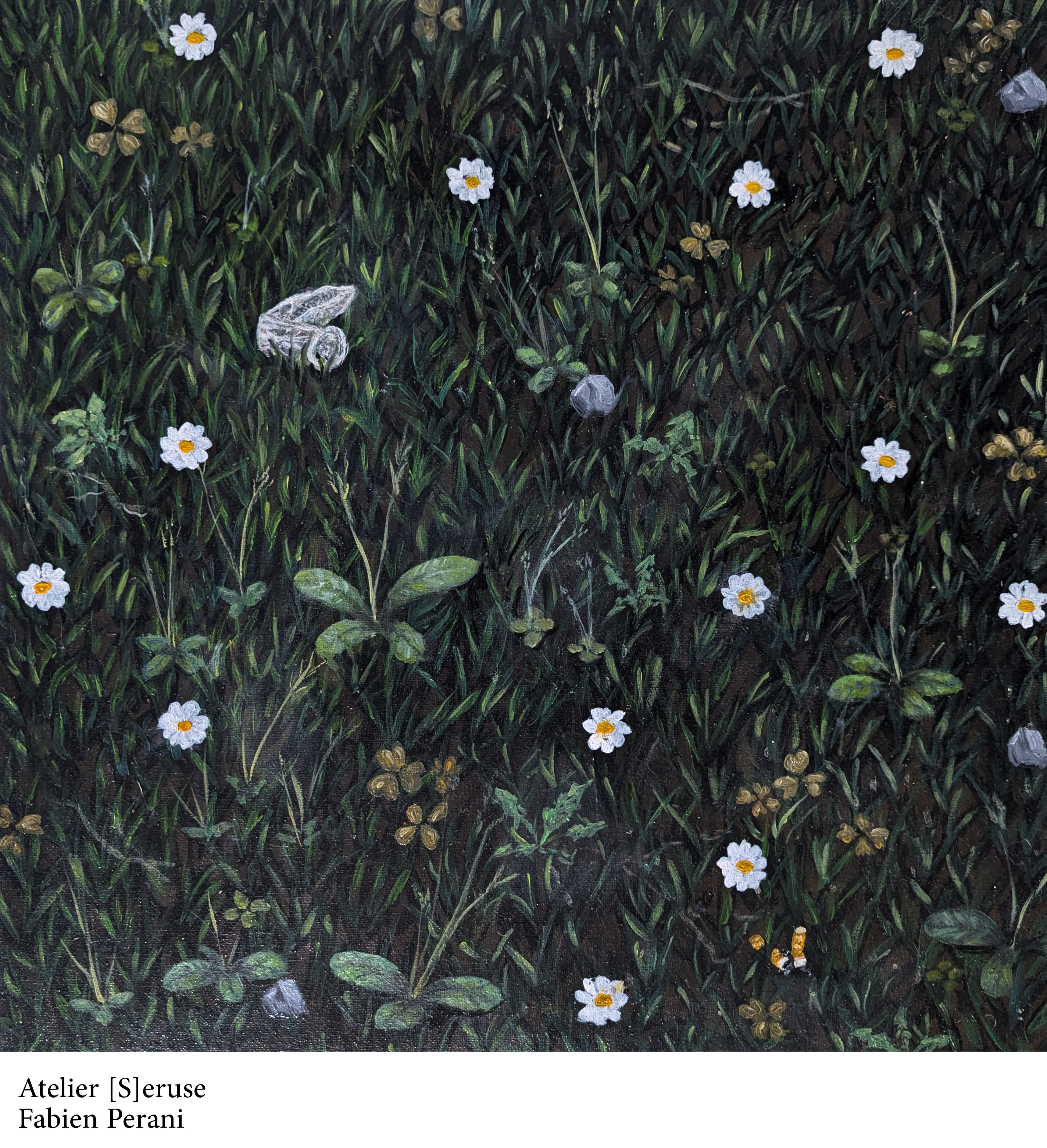 Visuel de Fabien Perani