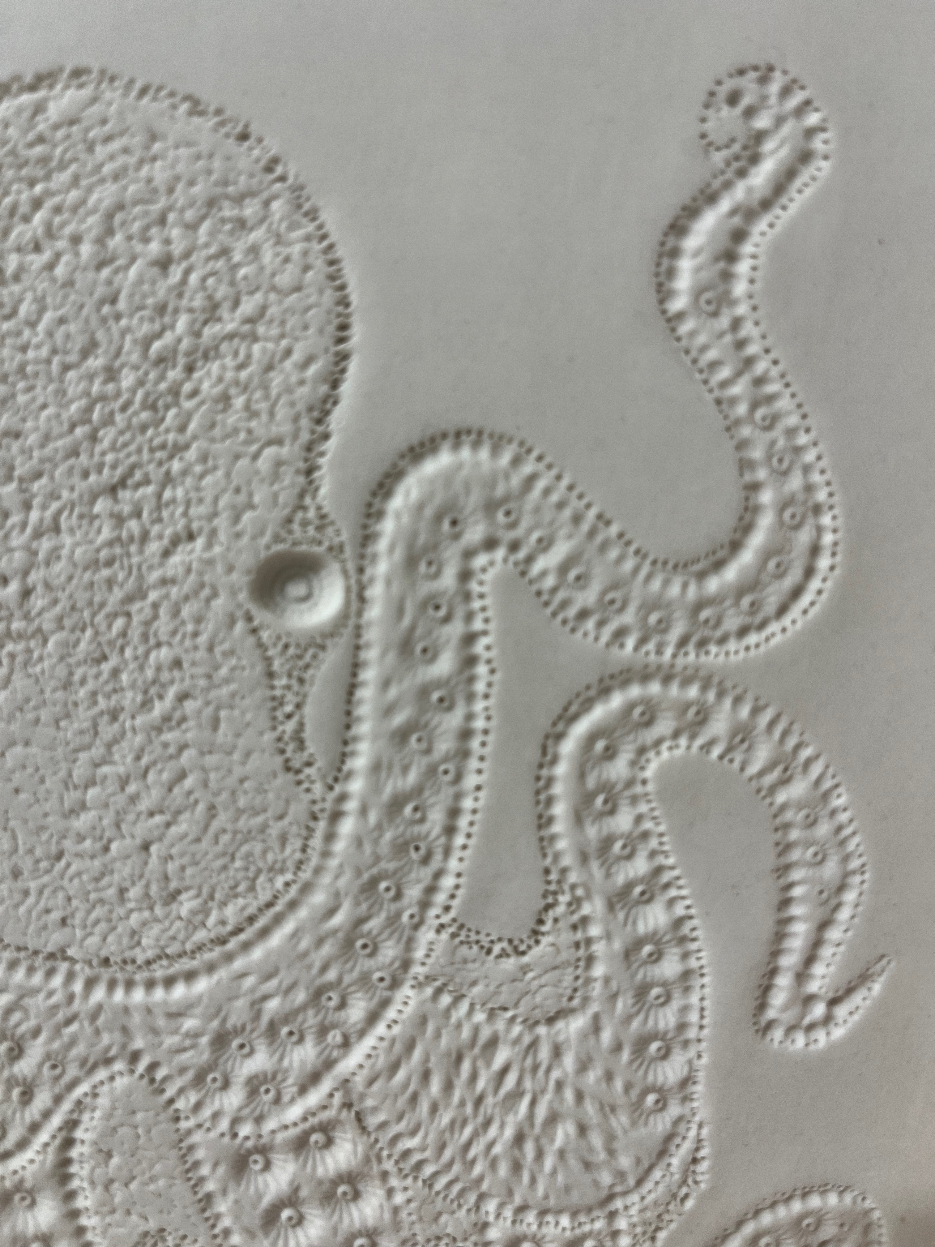 Visuel de Domi Paillard Rampal