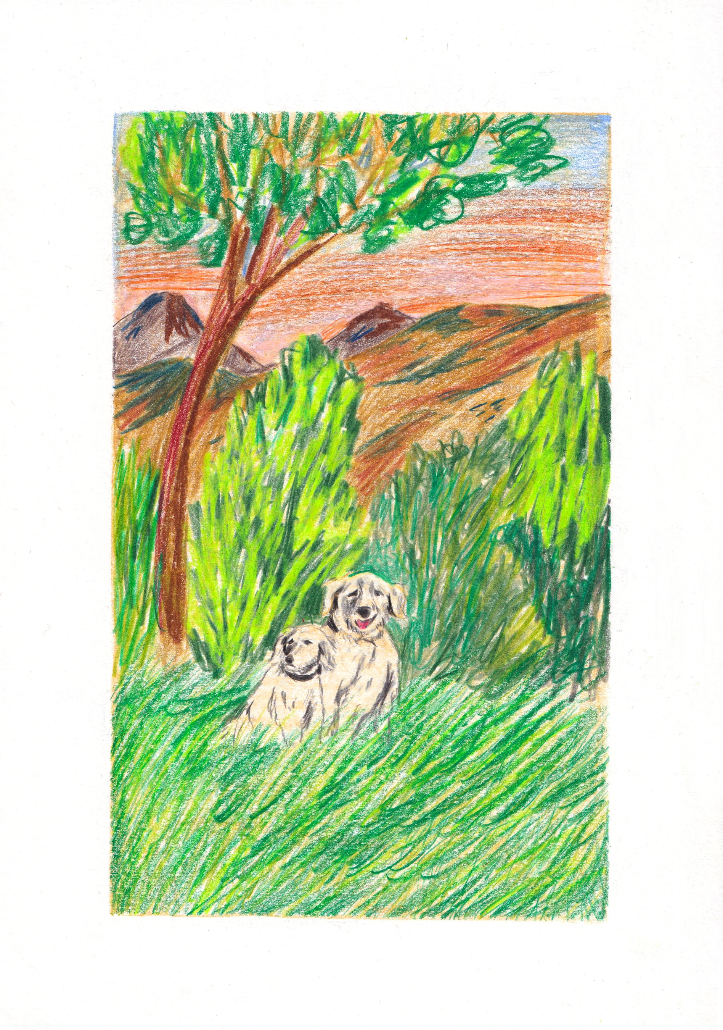 Visuel de Juliette Signoret