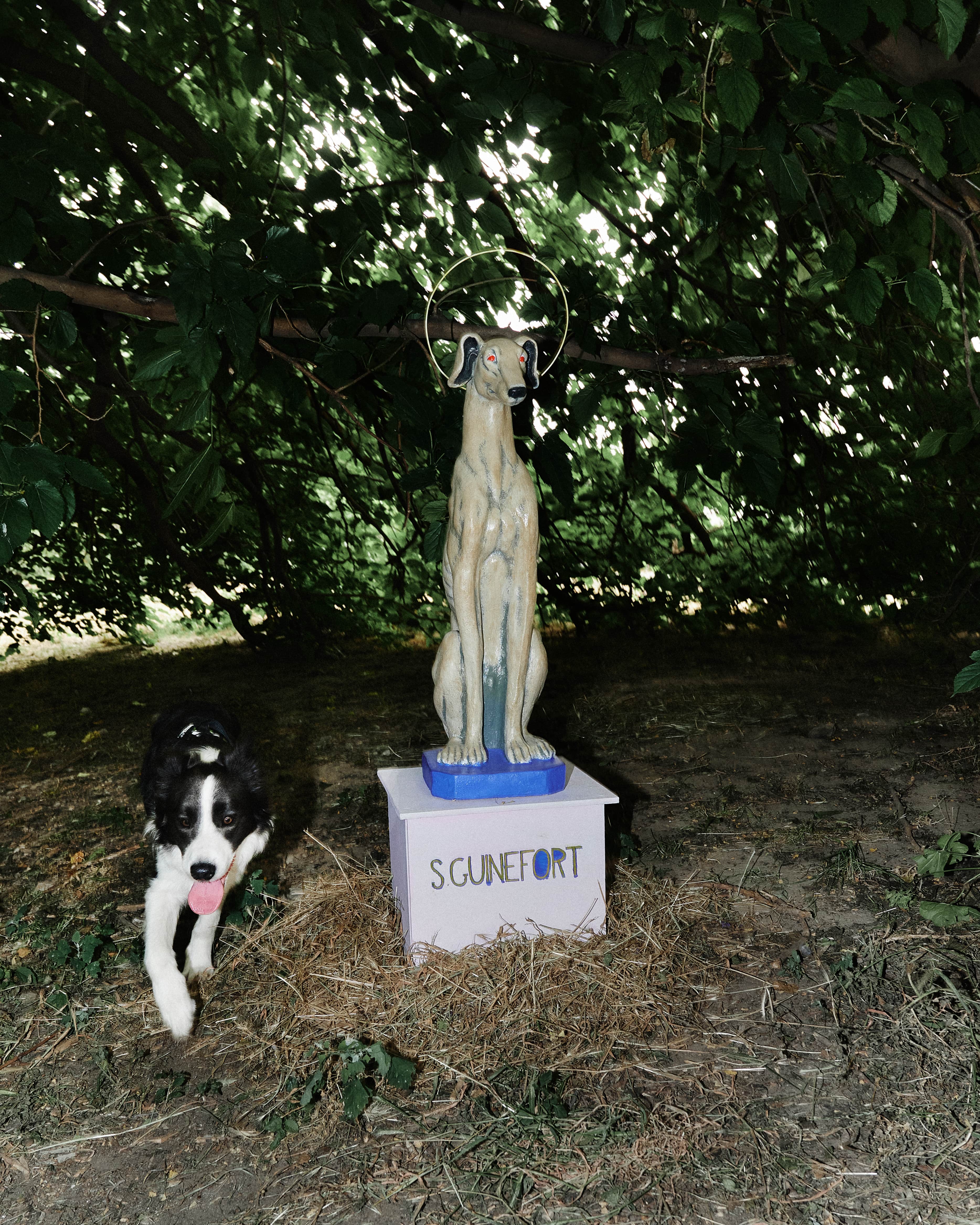 Visuel de Maria Nico Moscatelli