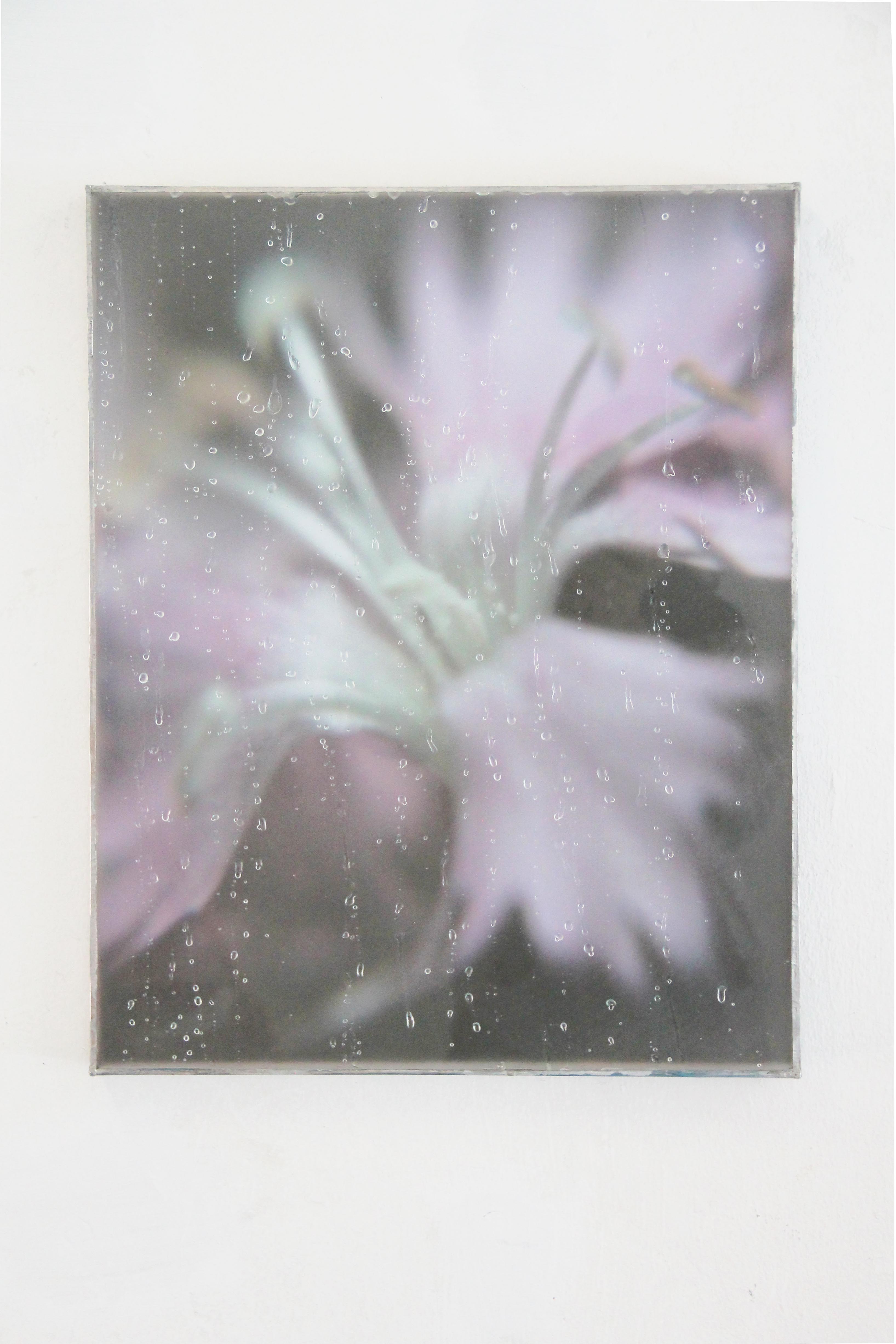 Visuel de Brune Pâris