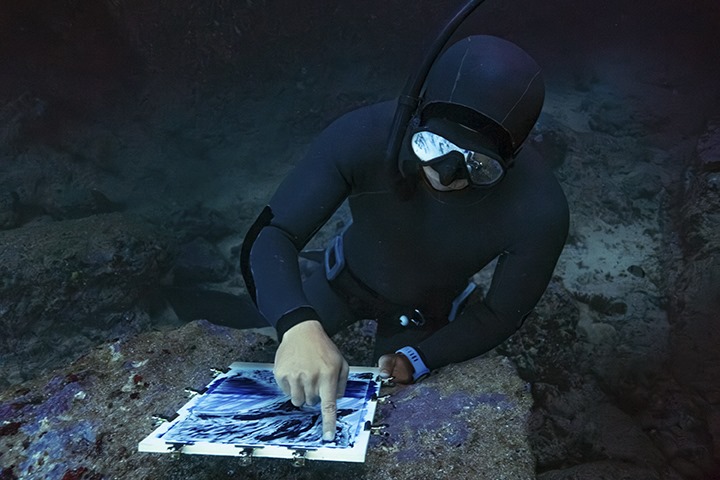 Visuel de Sofiane Benyahia