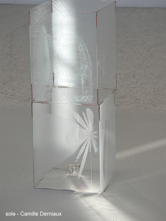 Visuel de Camille Derniaux