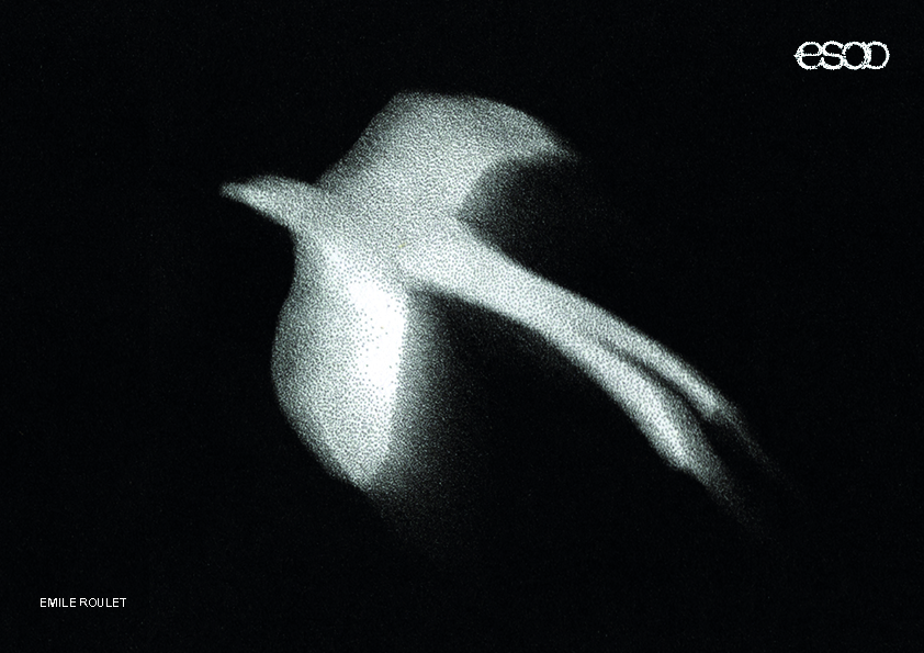 Visuel de Émile Roulet