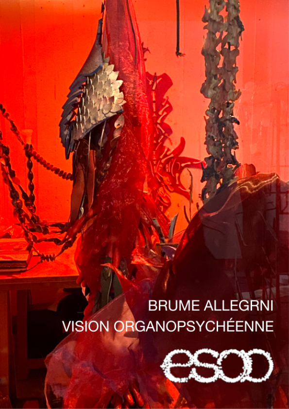 Visuel de Brume Allegrini / Vision Organopsychéenne