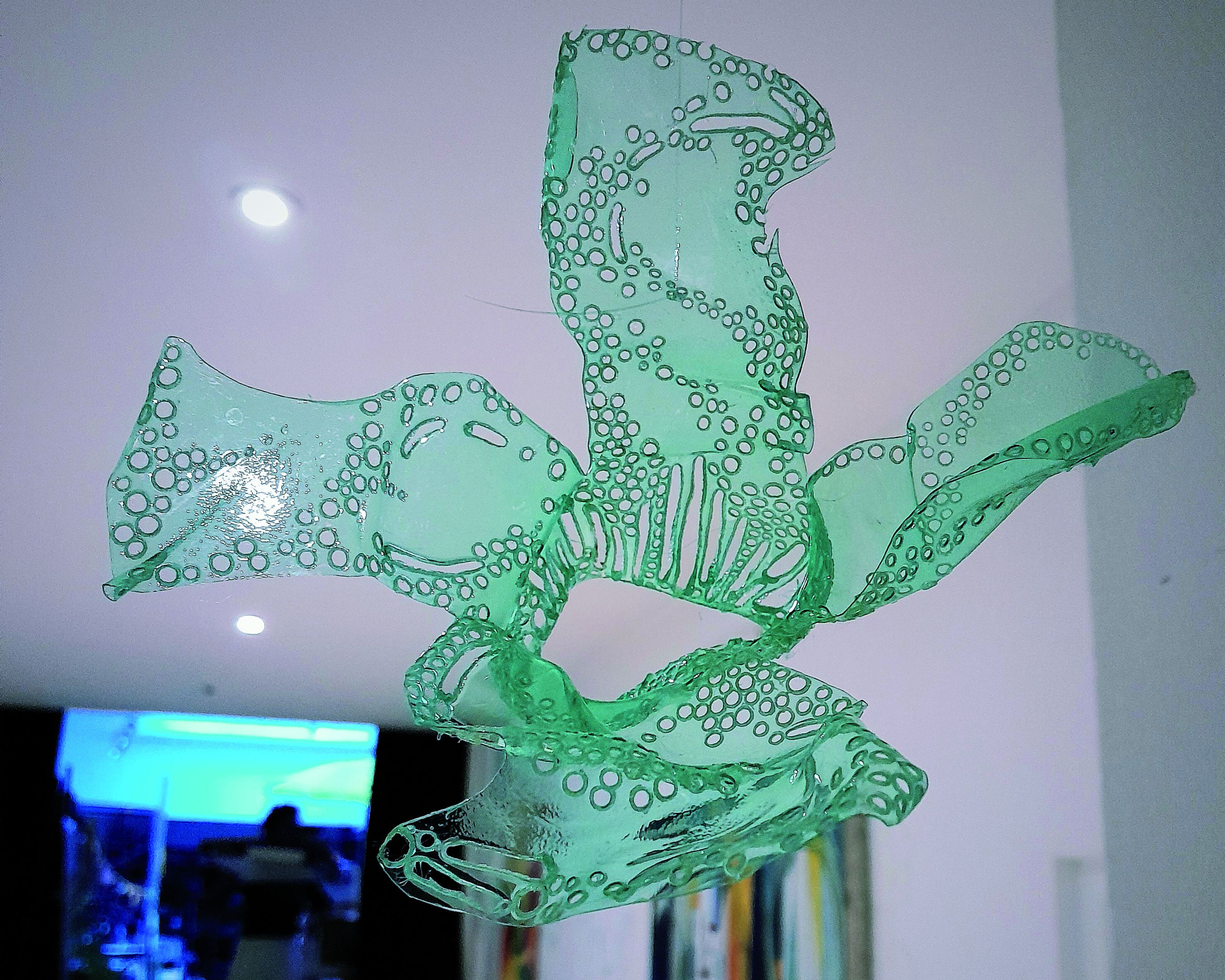 Visuel de Gwenaëlle d'Azémar