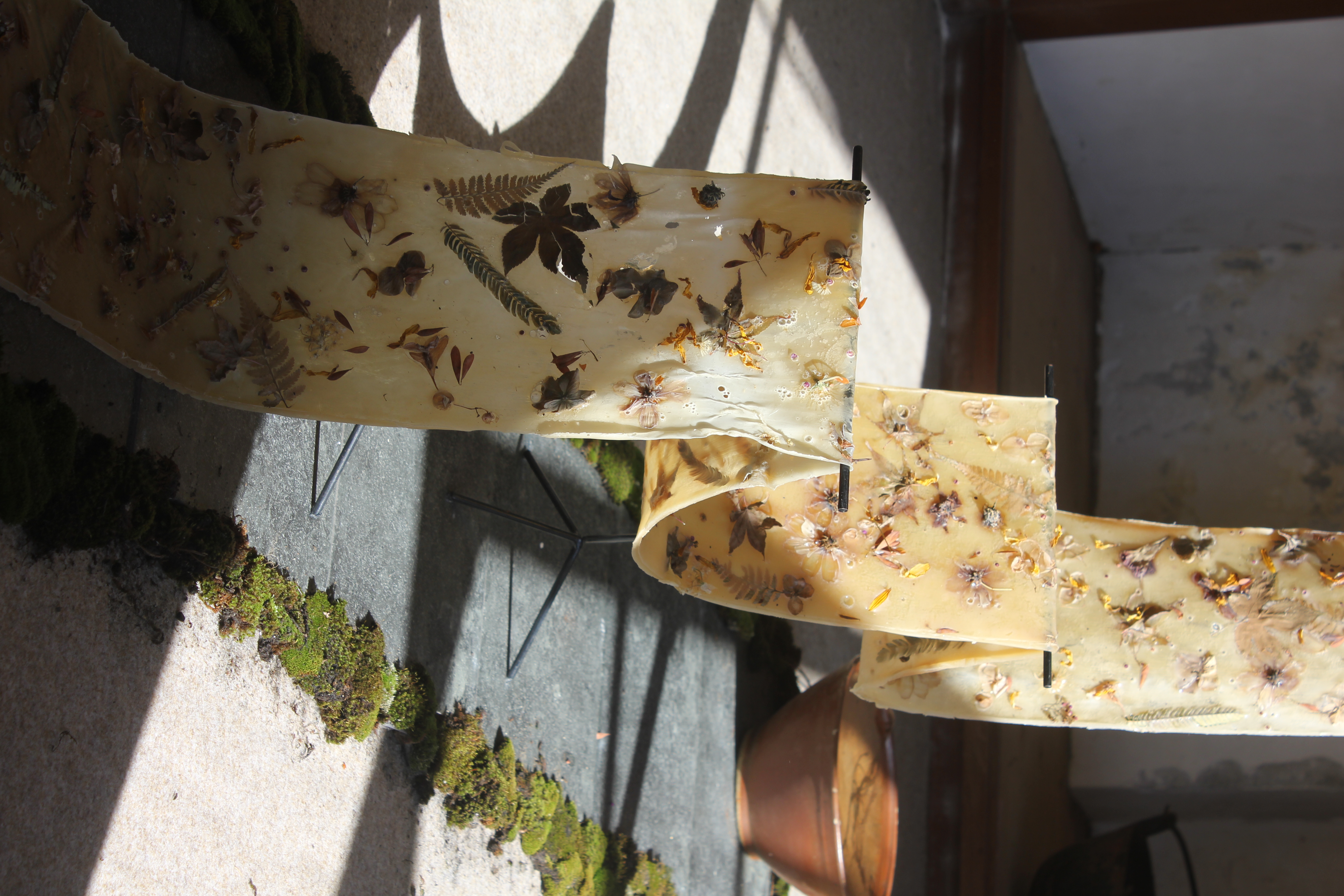 Visuel de Célia Cassaï