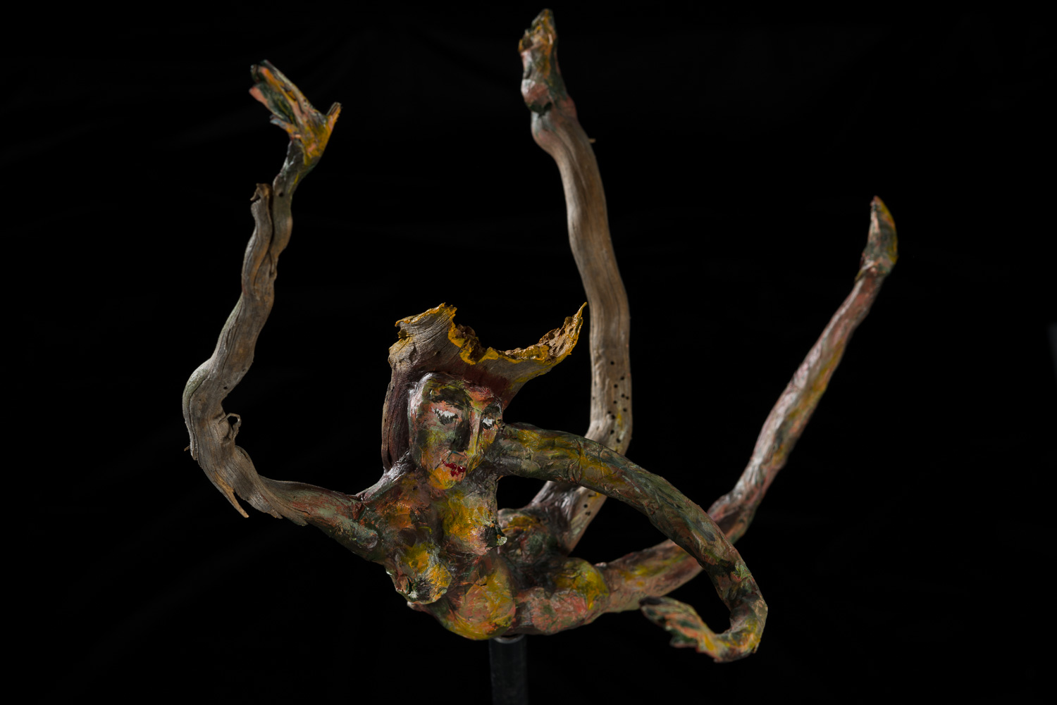 Visuel de Johanne Raimbault