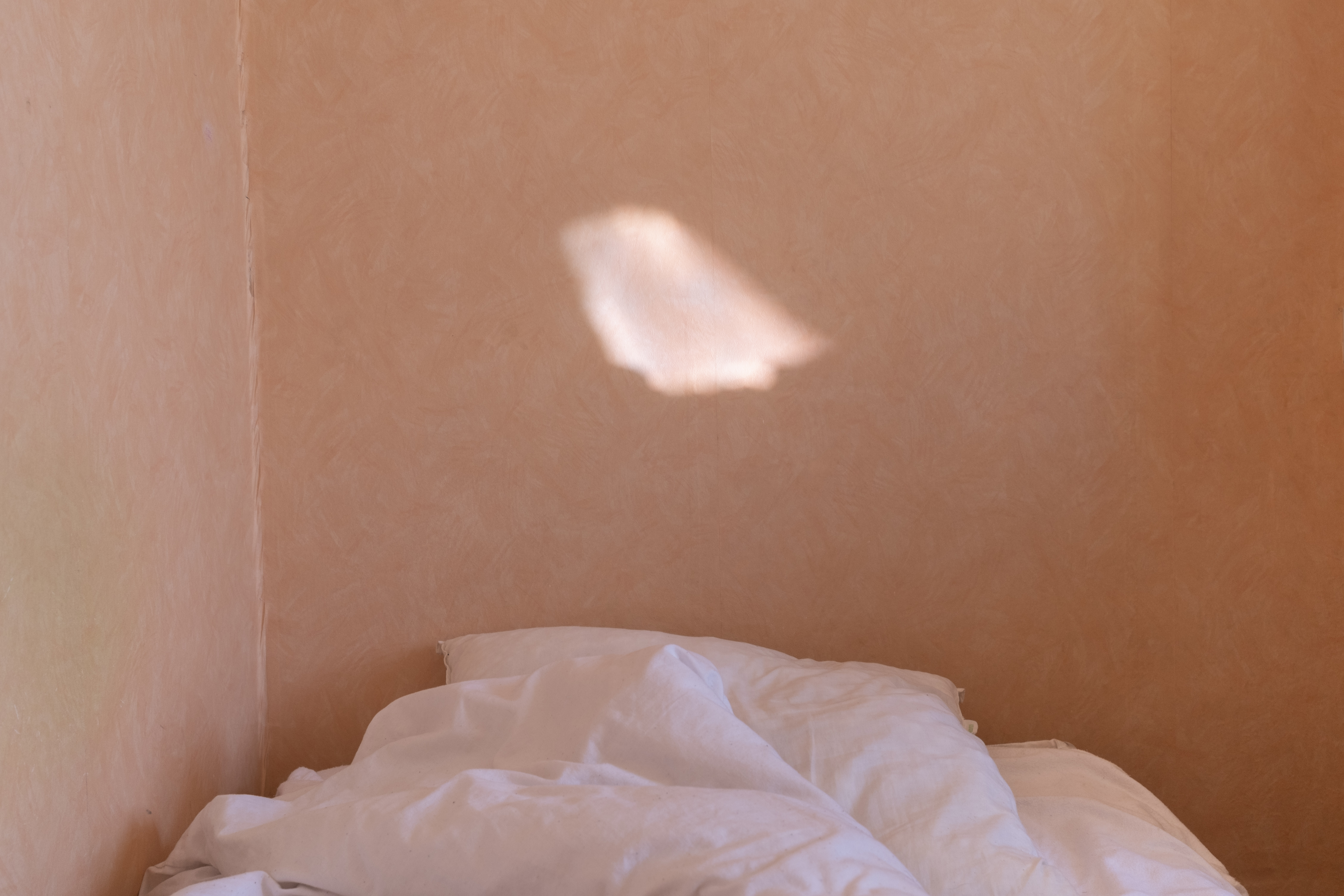 Visuel de Sener Aslan