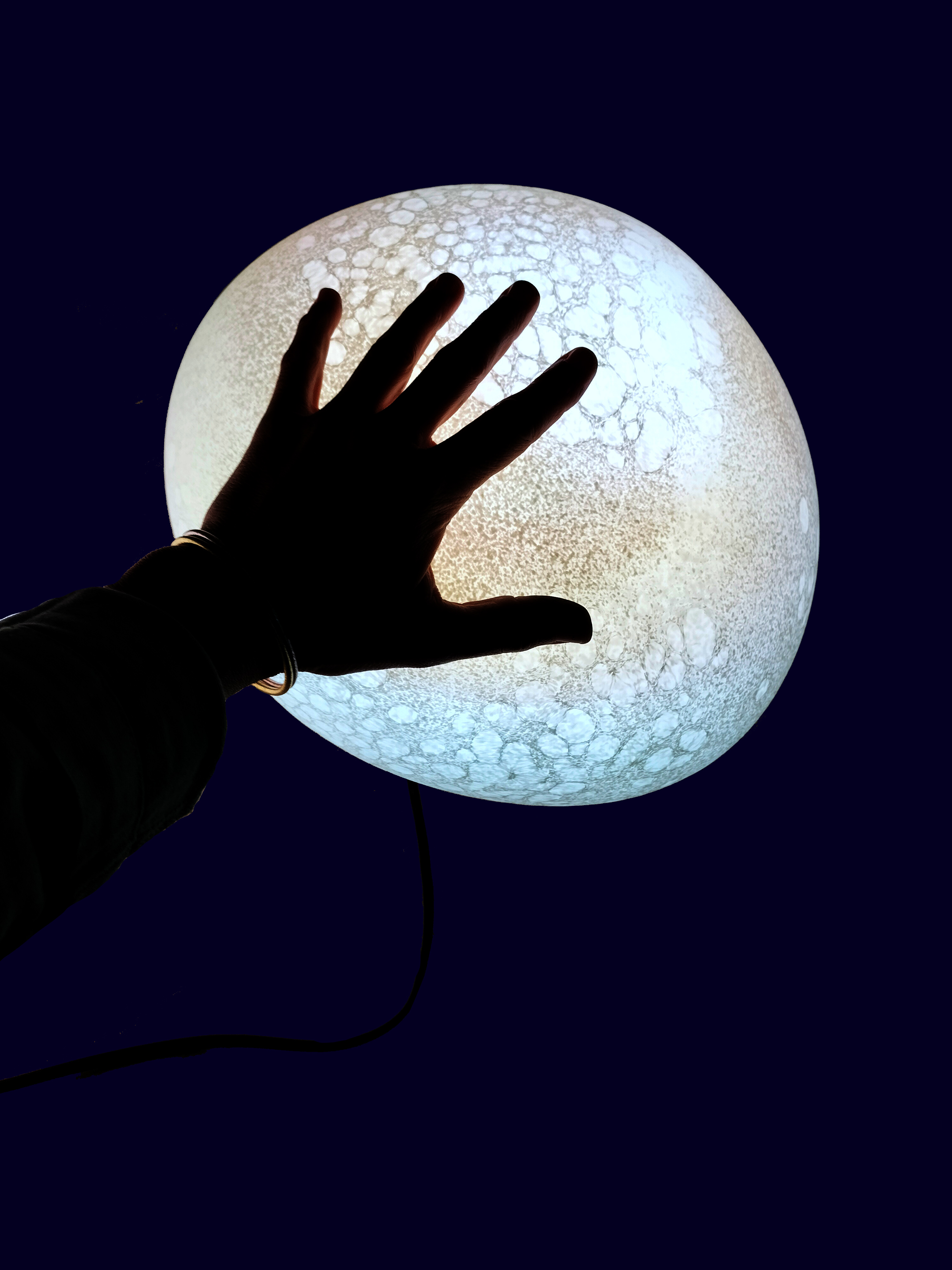 Visuel de David Veis