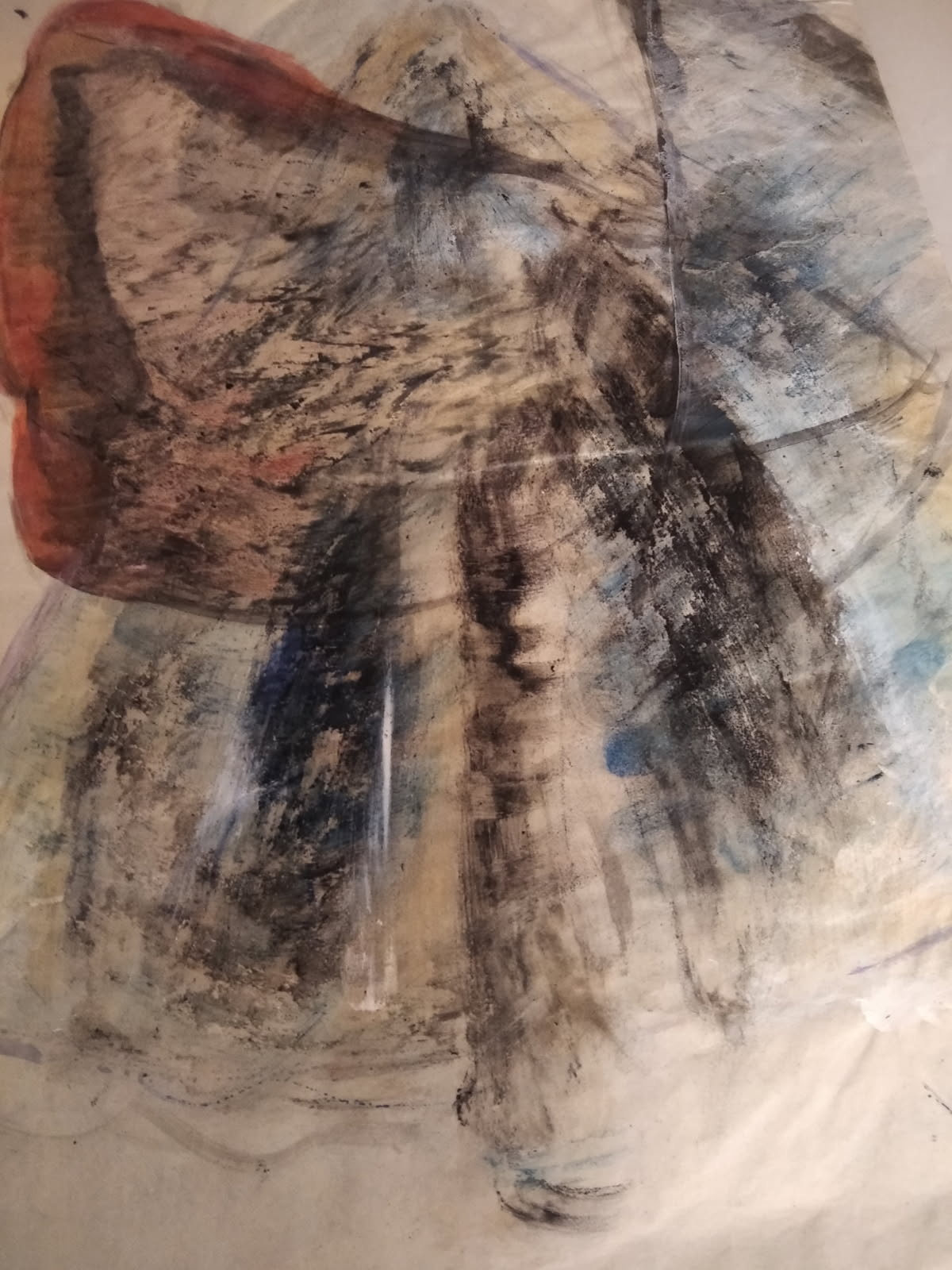 Visuel de Sophie Carrau