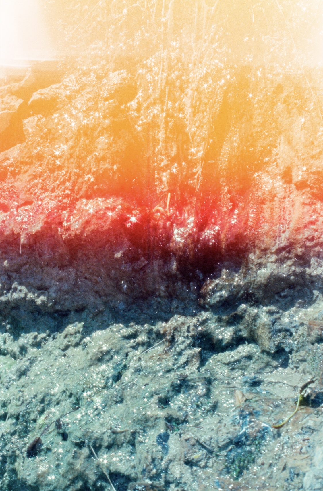 Visuel de Elsa & Marie