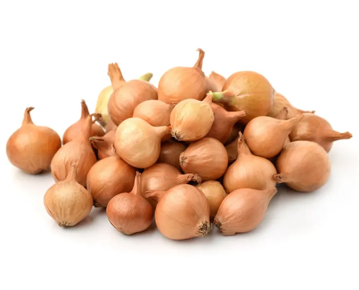 Лук севок Stutgarter 25/30кал, 500г 1.сорт,Нидерланды