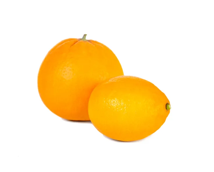 Apelsīni lielie Valencia 42/48kal, 2.šķira , Ēģipte 