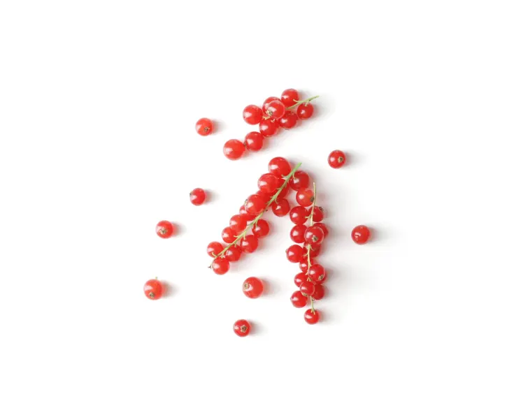 Red Currants 125g, Cat.1, NETHERLANDS 