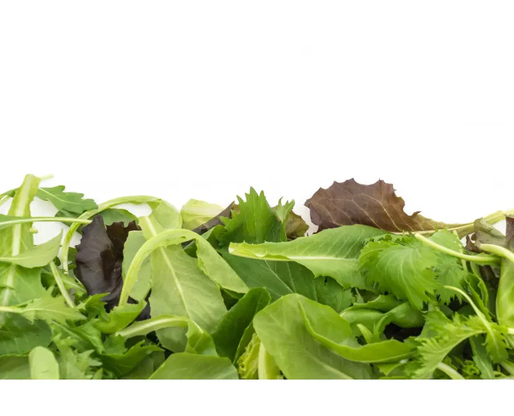 Lettuce mix 2kg box Cat.1, LATVIA 