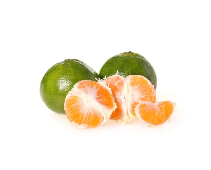 Tangerines Green Myagawa Cat.1, ITALY 