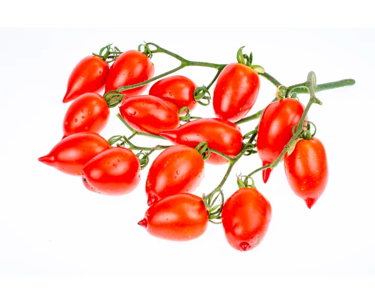 Помидоры мини сливы красные на ветках Datterino 1.сорт,Италия