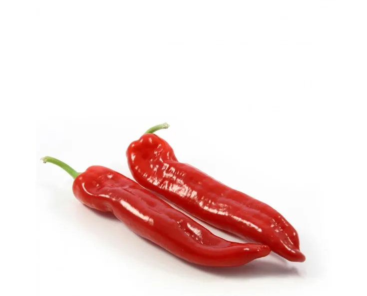 Capsicum Ramiro red Cat.1, SPAIN 