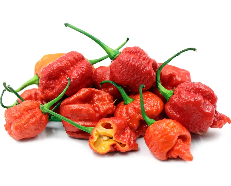 Перец острый Carolina Reaper 1.сорт,Испания