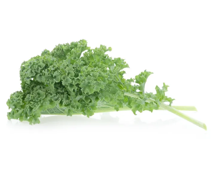 Cabbage Kale baby 125g, Cat.1, ITALY 